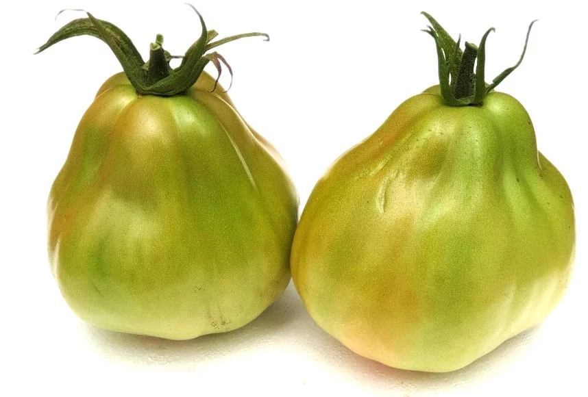 tomate liguria o cor de bou