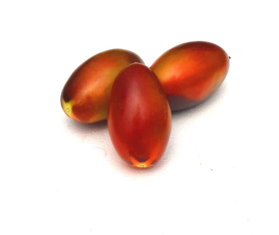 tomate pera azul