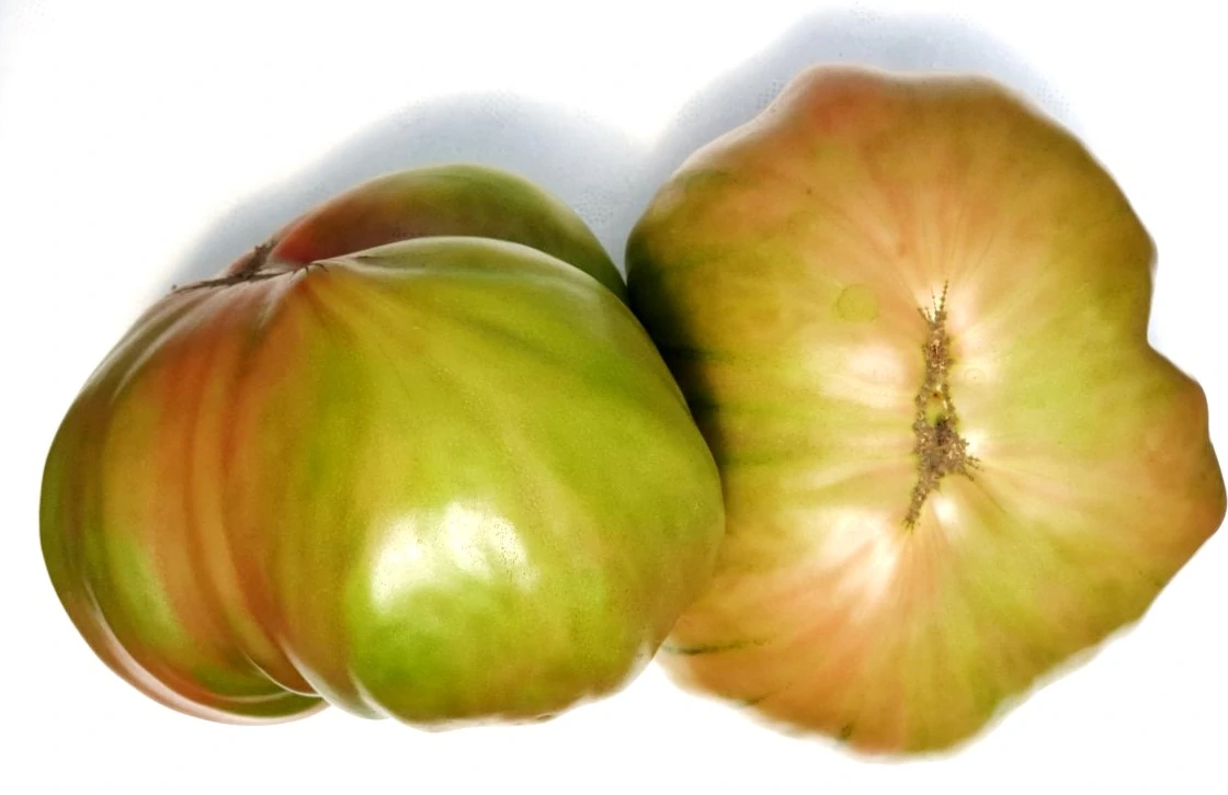 About tomaterosa